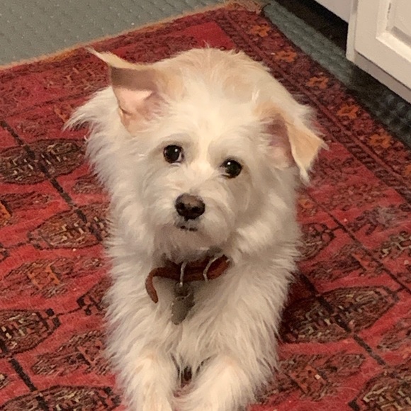 Meet your Posher, Kathleen - Picture 4 of 5